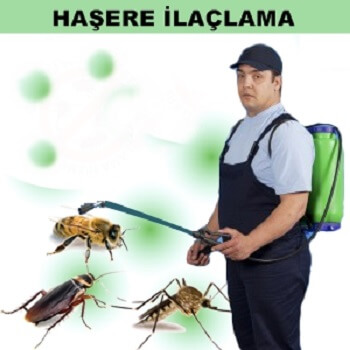 Ardanuç Böcek İlaçlama